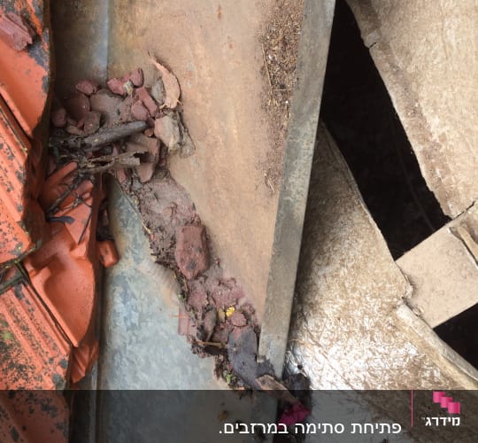 רעפים כתומים עם לכלוך וענפים על גג